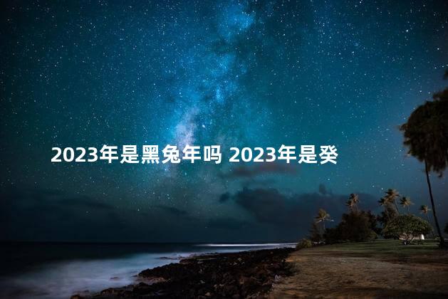 2023年是黑兔年吗 2023年是癸卯年吗